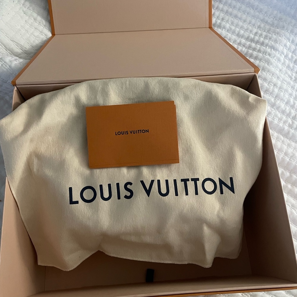 Louis Vuitton Alma PM - Picture 2 of 6